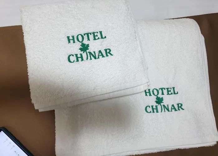 чинар Kirkovo (Kardzhali)